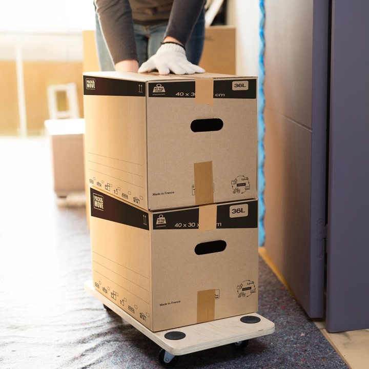 Kit Déménagement : Lève-Meuble et Chariot Roulettes 150kg | Levier